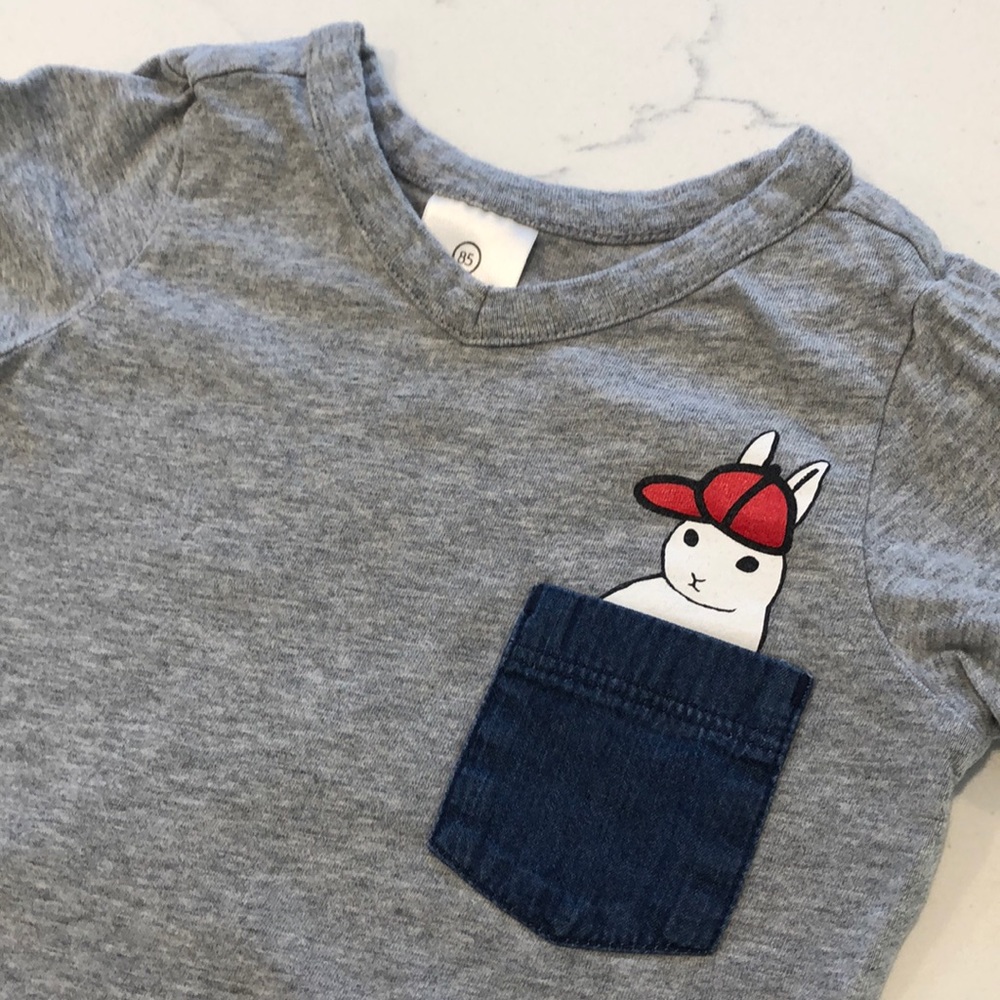 Hanna Andersson Bunny Pocket Shirt